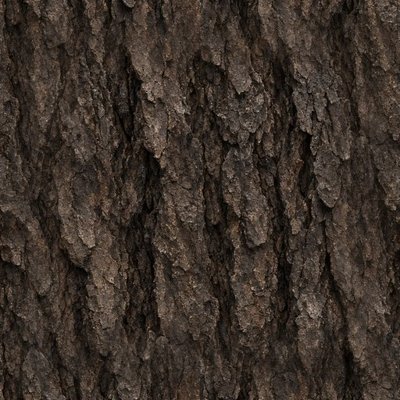 Seamless bark texture generated and tiled